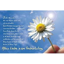 Niveauvolle Sprche Zum Geburtstag Kurze Und Lange